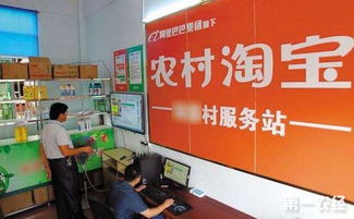 湖北农村电商 化解灾情交通困局，精准扶贫新路径